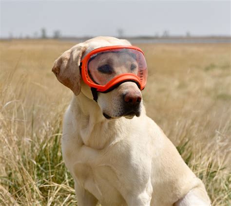 Find Out 16 Truths On Eye Protection Gears Based On The Activity