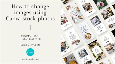 Canva User Guide How To Change Images Using Canva Stock Photos Youtube