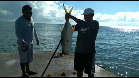 Pesca De Orilla De Jurel Grande Youtube