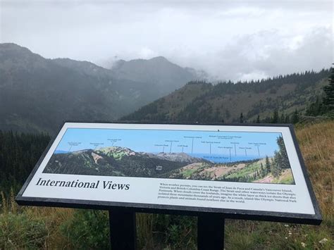 Hurricane Ridge Visitors Center Olympic National Park 2019 All You