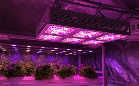 Mars Hydro 300w Led Grow Light Review Things You Should Know Before