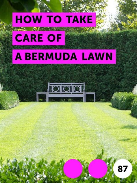 Learn How To Take Care Of A Bermuda Lawn How To Guides Tips And
