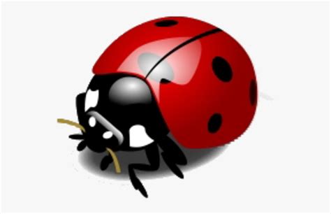 Ladybug Vector HD Png Download Transparent Png Image PNGitem