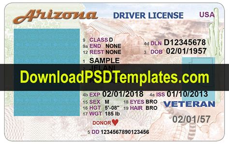 Arizona Driver License Psd Editable Az Template Free
