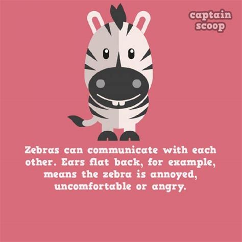 15 Interesting Animals Facts Paired With Cute Illustrations