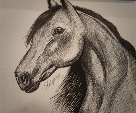 Horse Pen Drawing By Kalephrex On Deviantart