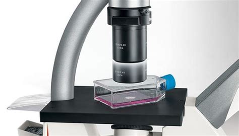Leica Dmi1 Leica Inverted Microscope Microscope Central