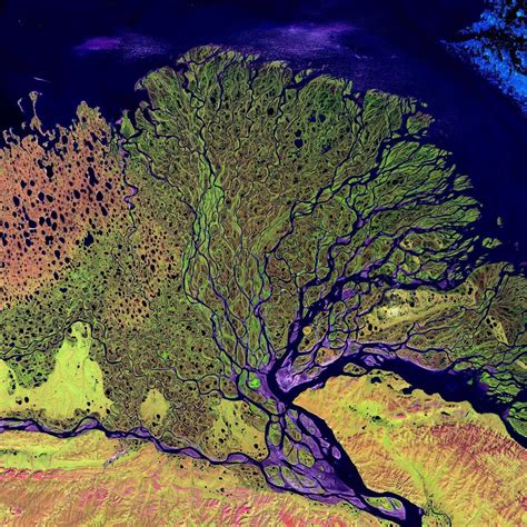 Incredible Satellite Photo Of The Lena River Delta Wildlife Reserve In