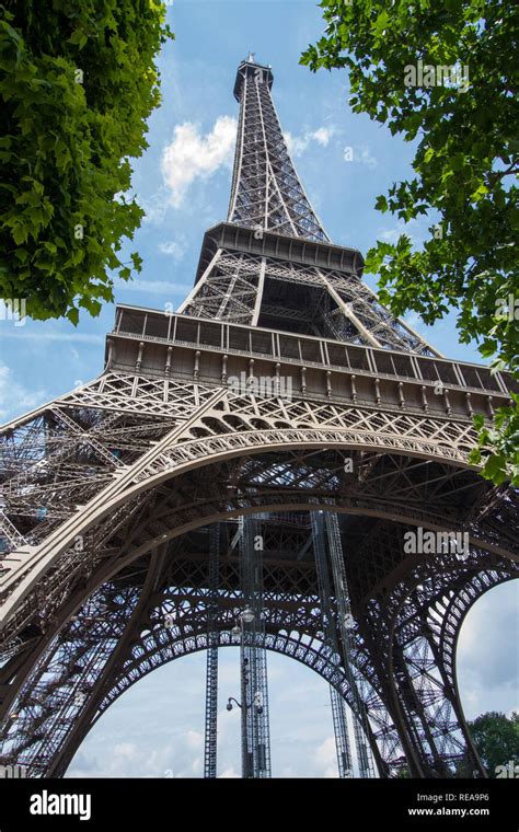 Towering Above Low View Of The Eiffel Tower Between Trees Paris