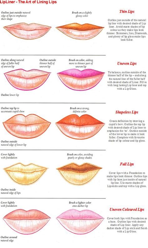 17 Best Images About Lip Shapes On Pinterest Note Mouths And Shape