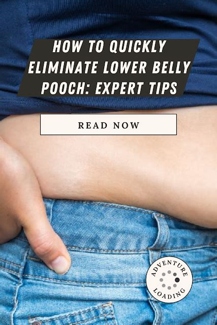 How To Quickly Eliminate Lower Belly Pooch Expert Tips