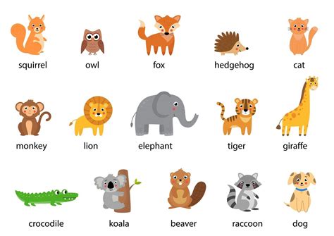 Set Of Cute Cartoon Animals With Names Vector Illustrations 2635413