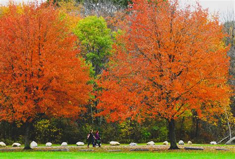 The Beauty Of Fall In Rhode Island