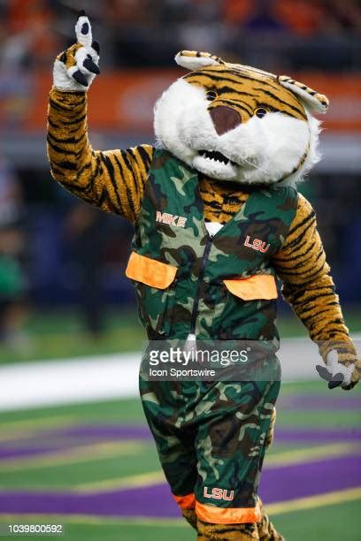 Lsu Mike The Tiger Photos And Premium High Res Pictures Getty Images
