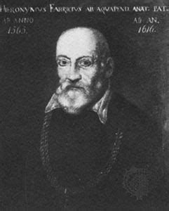 Hieronymus Fabricius ab Aquapendente | Italian surgeon | Britannica.com