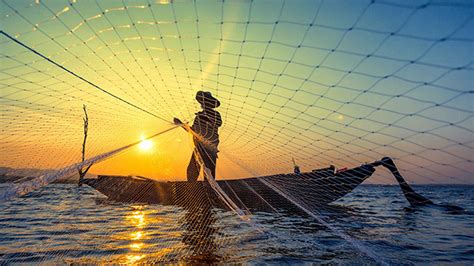 La Pesca Mexicana Una Actividad Inmensa Como El Mar