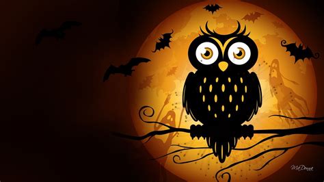 Cute Owl Halloween Wallpapers Top Free Cute Owl Halloween Backgrounds