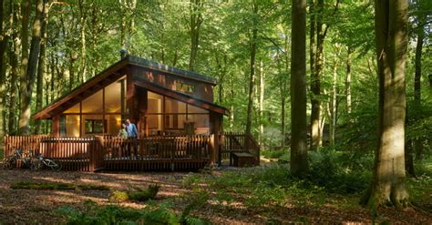 Undefined Forest Cabin Cabin Log Cabin Holidays