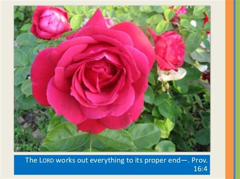 Compiled and edited by biblestudytools staff on 2/19/2021. Flowers with bible verses