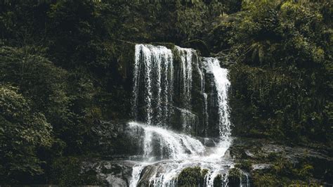 Download Wallpaper 2560x1440 Waterfall Stones Flow Water Moss