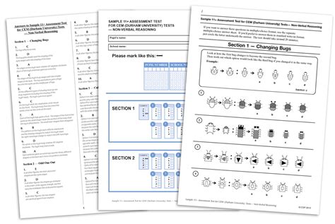 Our sample test covers all question types found on the cat4 level e, as well as tips and thorough explanations. Free 11+ Practice Papers | CGP Books