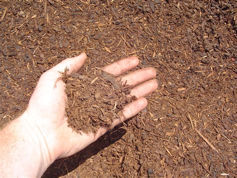 Though potting soil contains natural rocks, minerals and plant matter, they are specifically so, curing garden soil is often done to kill them before planting vegetation. Site Planning and Design ARE4.0 - Part 1 - Site Plan with ...