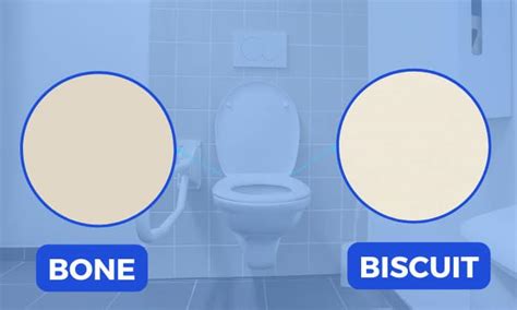 Bone Vs Biscuit Color Which Color Fit Your Toilet