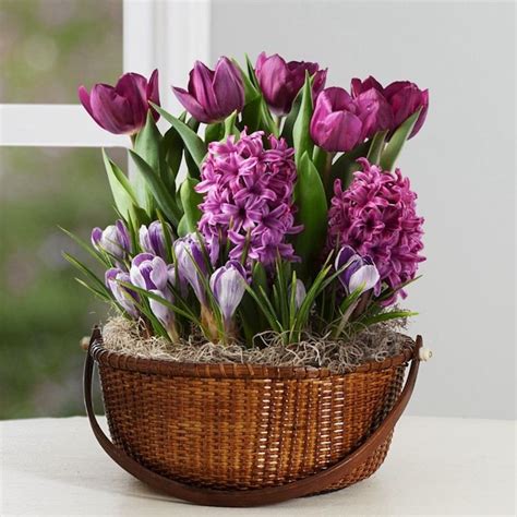 Check spelling or type a new query. Fleurs en pot - conseils et idées pour enjoliver le jardin ...