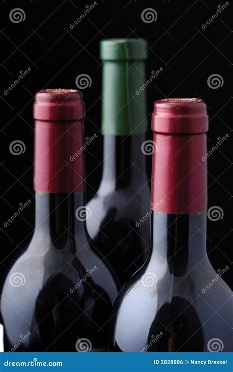 Three Wine Bottles Stock Photo Image Of Alcohol Italy 2828886