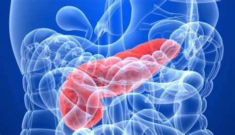 Хронического панкреатита лечение диета Панкреатит – симптомы, лечение острого и хронического панкреатита Панкреатит – симптомы, лечение острого и хронического панкреатита Хронического панкреатита лечение диета
