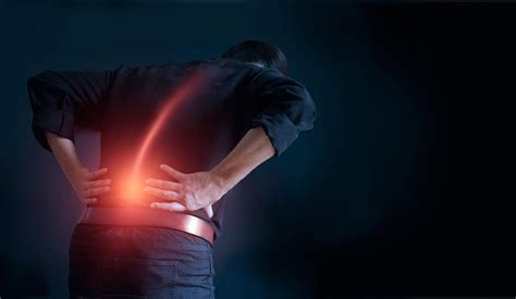The Structure Of The Lower Back And Why Its Prone To Injury South