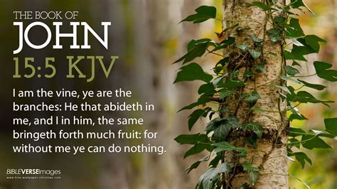 Kjv Christian Wallpaper 51 Images