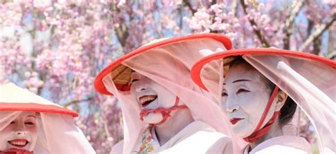 Hanami Cherry Blossom Festival Of “flower Viewing” Ritual In Motion