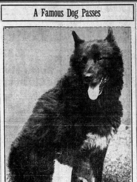 Animal Obituaries - Topics on Newspapers.com
