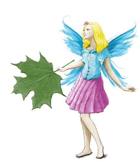 Sugar Maple Tree Fairy Holding A Leaf Digital Art By