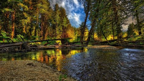 Trees Landscape Forest Mountains Lake Water Nature Reflection