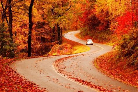 Where To See The Best Fall Color In The Southeast Road Trip Usa