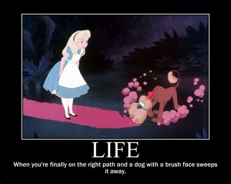 pin by dod on spiritual humor alice in wonderland alice disney