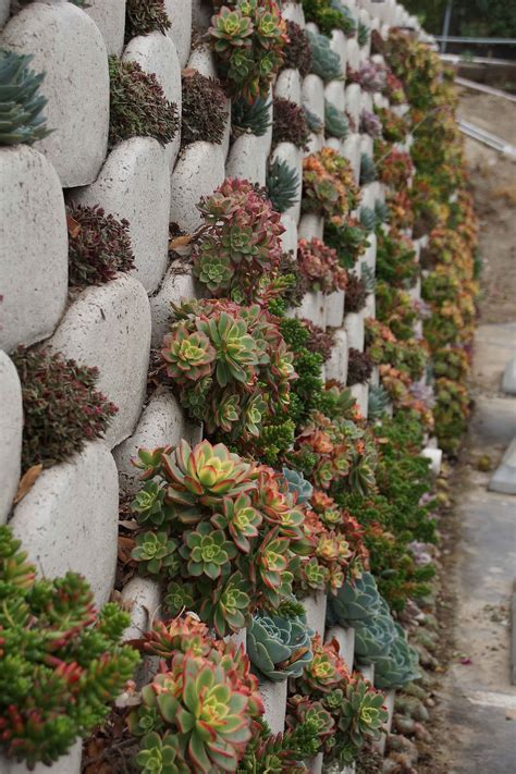 Its A Vertical Planter Its A Succulent Tapestry Its A Retaining Wall