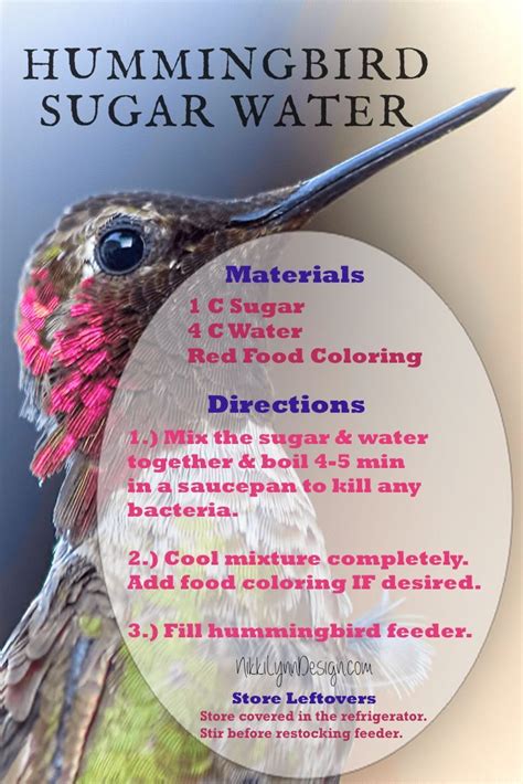 Check spelling or type a new query. How To Make A Hummingbird House Plans | Humming bird ...