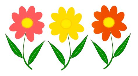 Flower Vector Png Image Purepng Free Transparent Cc0 Png Image Library