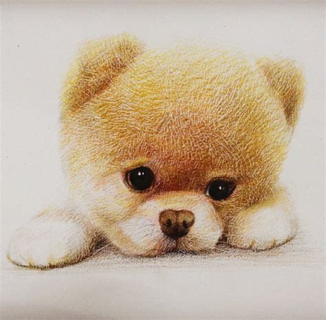 These animal babies are so small and fluffy that they will make you go 'awww? Cute and Funny Drawing Artworks by Chinese Artist oliudio | 99inspiration