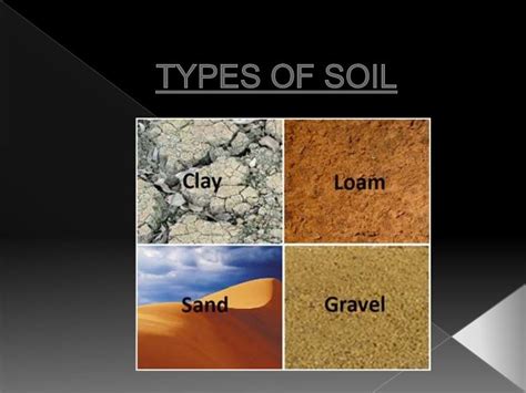 Types Of Soil
