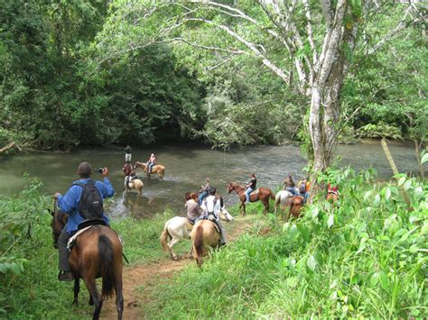 Horseback Riding River Standing1 Attachment Your Belize Experts