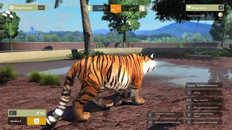 Zoo Tycoon Ultimate Collection Vicacom