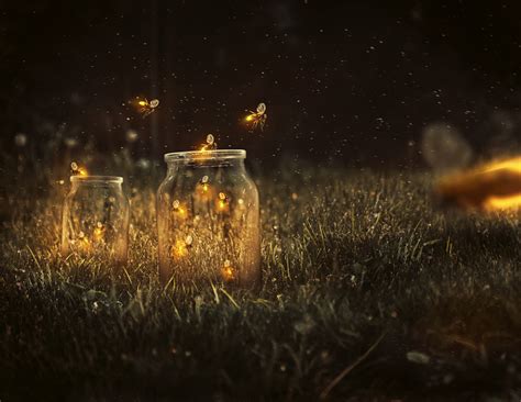 How To Create A Glowing Fireflies Photo Manipulation In Adobe Photoshop