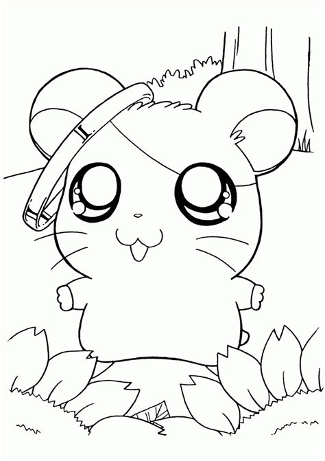 Coloring is always fun for kids, but to sharpen the skills, there should be something easy for beginners. Hamster coloring pages to download and print for free