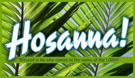 Palm Sunday Bible Quotes For Teens Bible Quotes Prayer Religious
