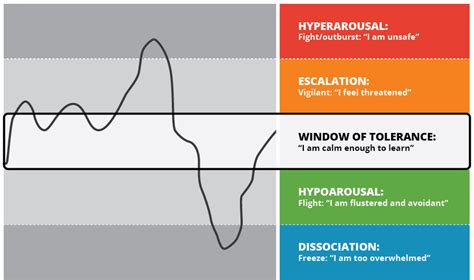 36 Using The Window Of Tolerance In The School Context Trauma