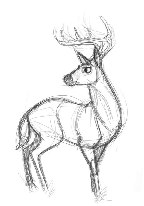 creative drawing ideas for beginners - Google Search ...